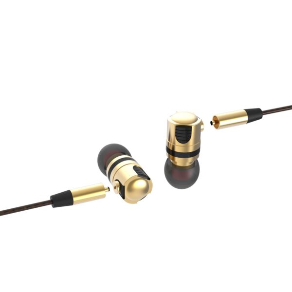 Gotek Byrd earphones with 2  interchangeable cables